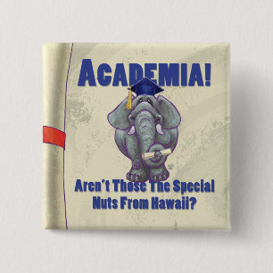Academia Scroll Button