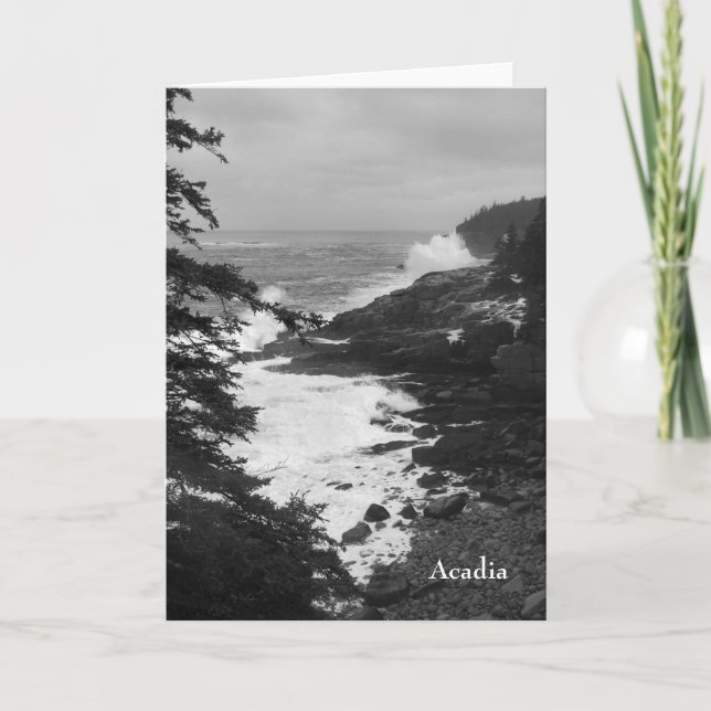 Acadia-Brandung Notecard - 8 Karte (Vorderseite)