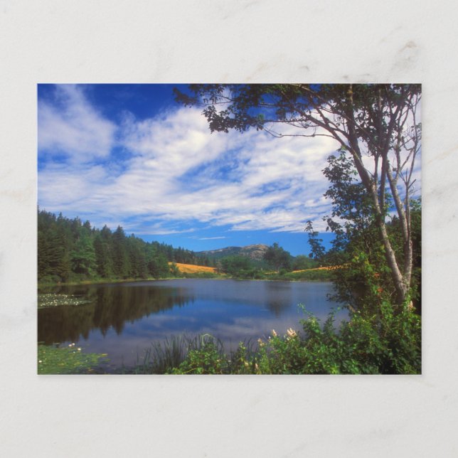 Acadia Long Pond View Postkarte (Vorderseite)