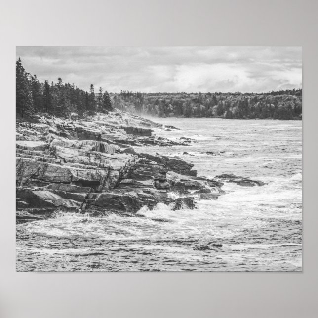 Acadia Maine Rocky Küste Schwarz und Weiß Poster (Vorne)