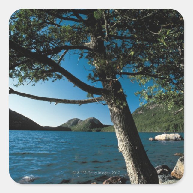 Acadia National Park , London Pond , Maine Quadratischer Aufkleber (Vorderseite)