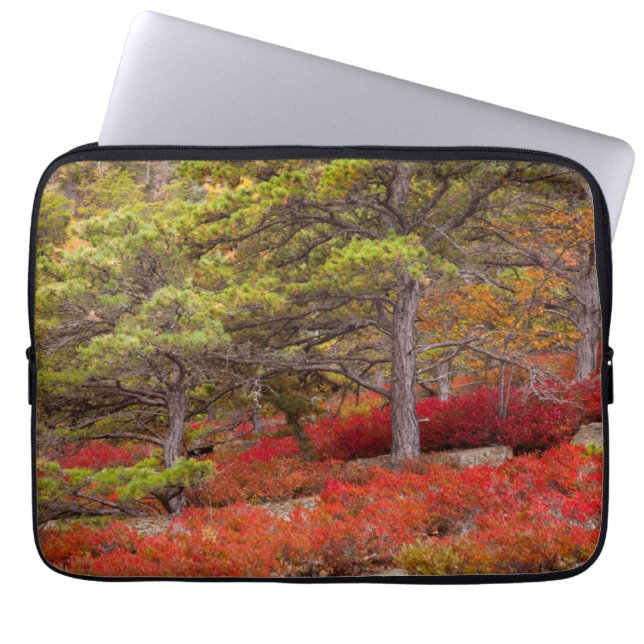 Acadia National Park, Maine Laptopschutzhülle (Vorderseite)