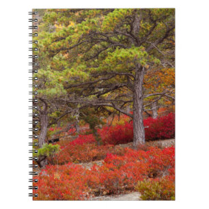 Acadia National Park, Maine Notizblock