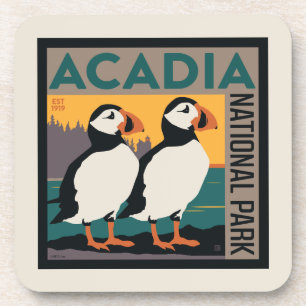 Acadia National Park, Maine Puffins Getränkeuntersetzer