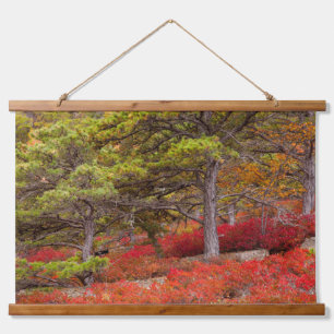 Acadia National Park, Maine Wandteppich Mit Holzrahmen