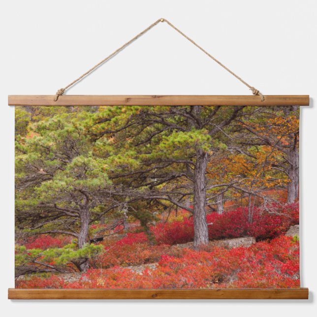 Acadia National Park, Maine Wandteppich Mit Holzrahmen (Vorne)