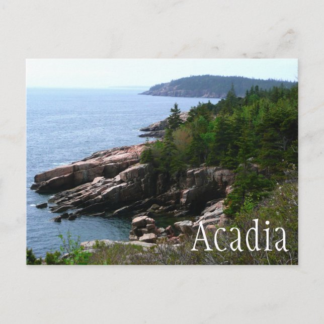 Acadia National Park Shoreline, Maine Postkarte (Vorderseite)