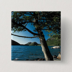Acadia-Nationalpark, London-Teich, Maine Button