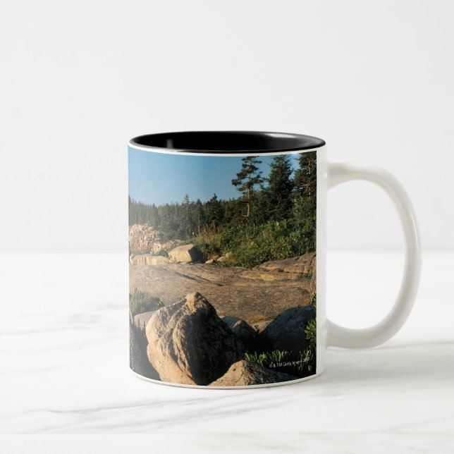 Acadia-Nationalpark, Maine 2 Zweifarbige Tasse (Rechts)
