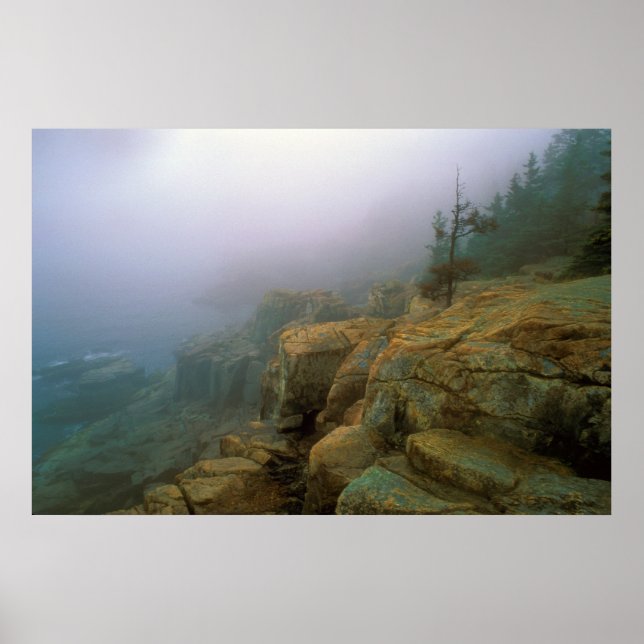 Acadia Nationalpark Otter Cliffs Poster (Vorne)