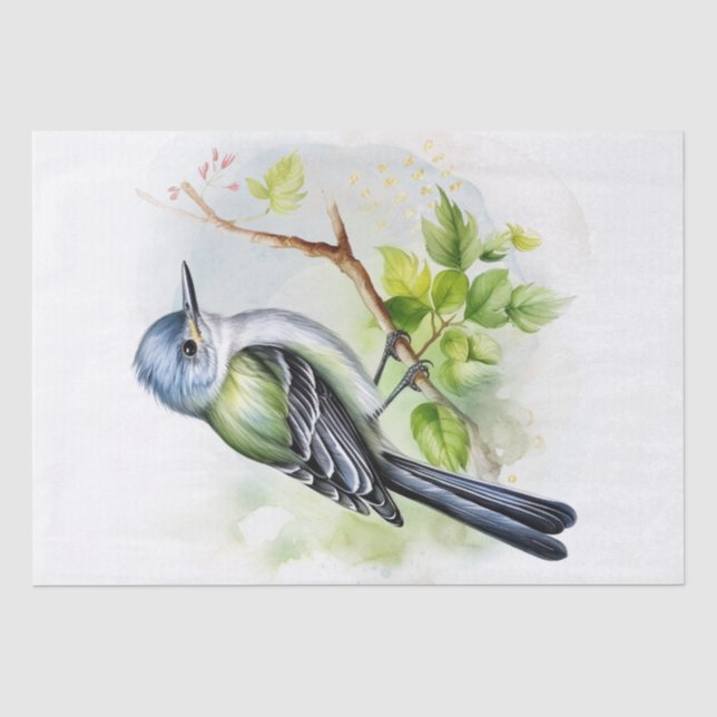 Acadian Flycatcher Bird Seidenpapier (Vorderseite)