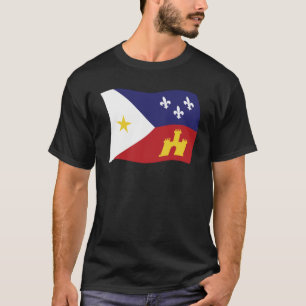 Acadiana-Flag-Shirt T-Shirt