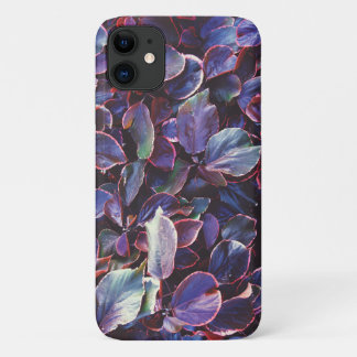 Acalypha Wilkesiana Case-Mate iPhone Hülle