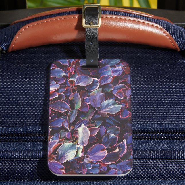 Acalypha Wilkesiana Gepäckanhänger (Vorderseite Insitu 2)