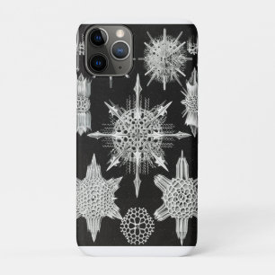 Acanthophracta, Wunderstrahlinge Wasser-Tier Case-Mate iPhone Hülle