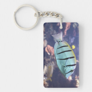 Acanthurus triostegus schlüsselanhänger