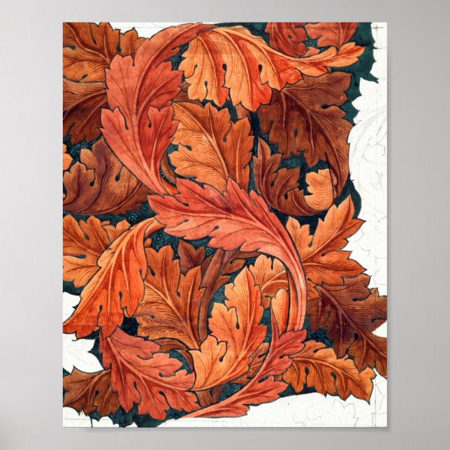 Acanthus (1879-1881) von William Morris Poster (Vorne)