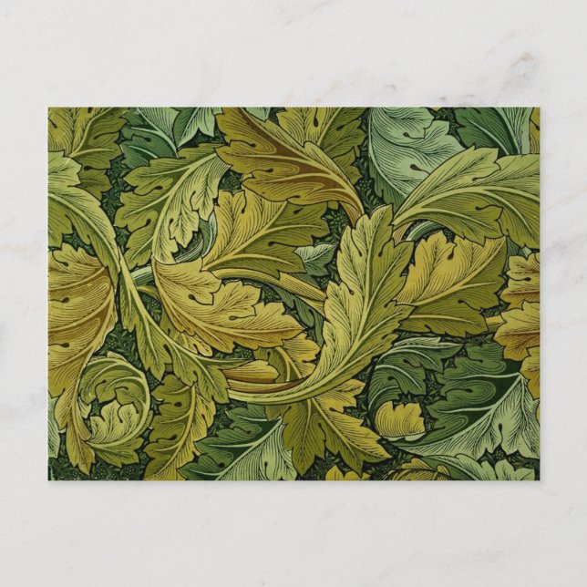Acanthus-Postkarte Postkarte (Vorderseite)