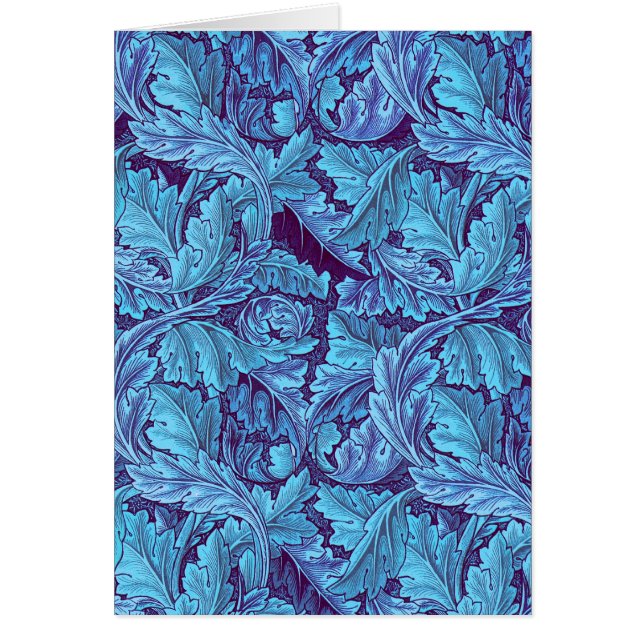 "Acanthus True Blue" (Vorne)