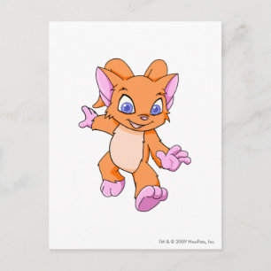 Acara Orange Postkarte