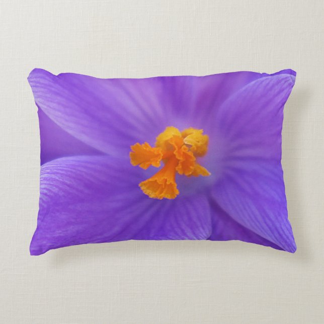 Accent Coussin (Devant)