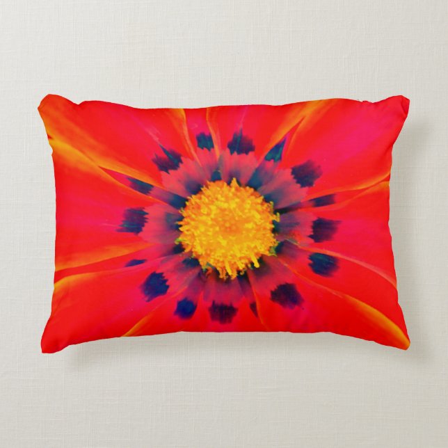 Accent Coussin (Devant)