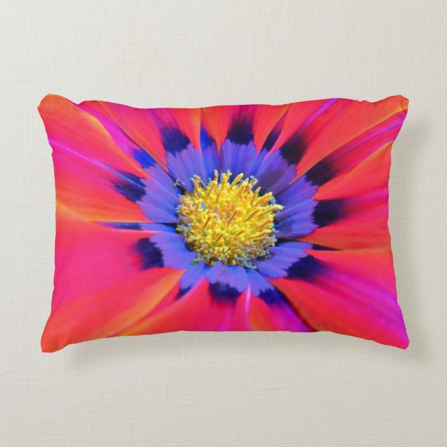 Accent Coussin (Devant)
