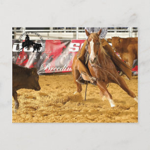 Accessoires Cabernet CHA Carte Postale 5 Postkarte