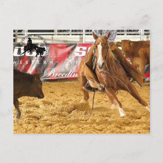 Accessoires Cabernet CHA Carte Postale 5 Postkarte