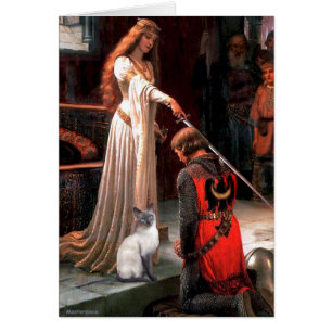 Accolade - Blue Point Chat siamois