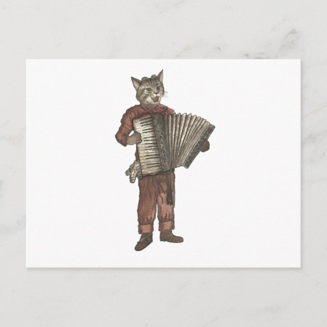 Accordion Cat Postkarte (Vorderseite)