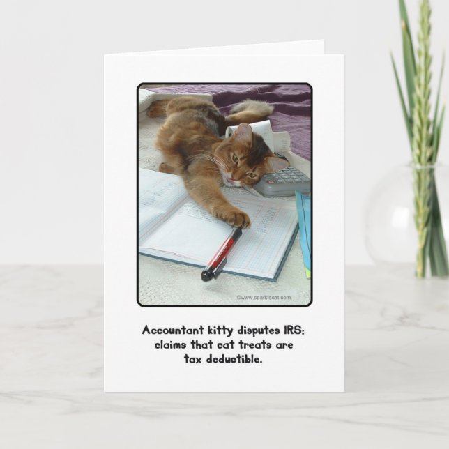 Accountant Kitty Grußkarte Karte (Vorderseite)