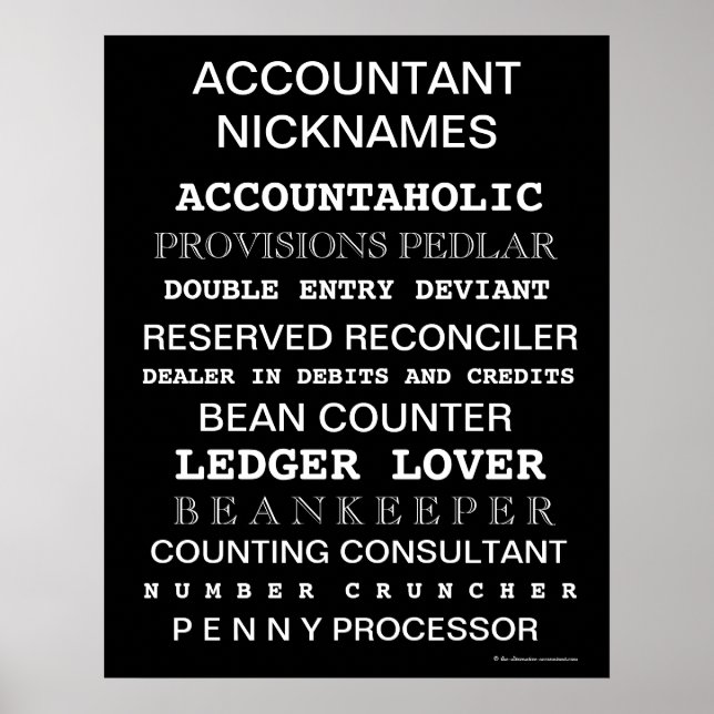 Accountant Nicknames Motivierend Poster (Vorne)