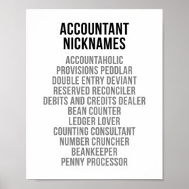 Accountant Nicknames Poster