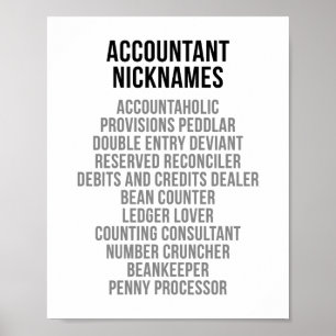 Accountant Nicknames Poster
