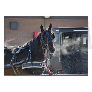 Accroc de cheval d'hiver