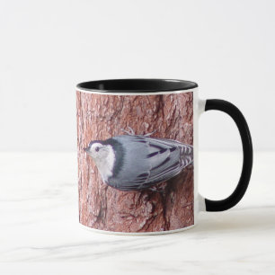 Accrochage dans la tasse d'oiseau de sittelle