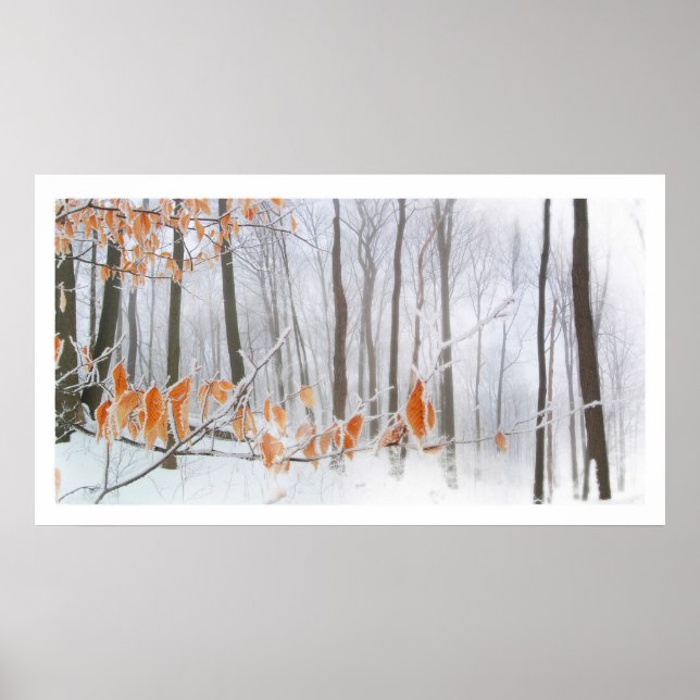 Accroché, affiche (Devant)