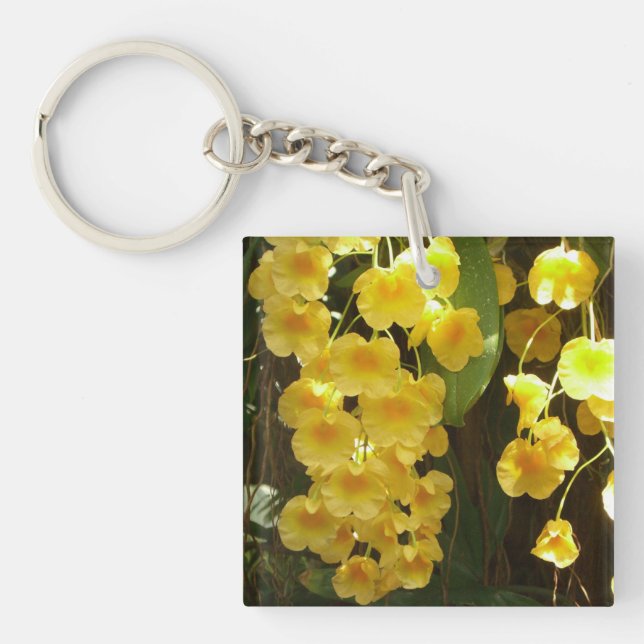 Accrocher les orchidées jaunes Fleurs tropicales (Devant)
