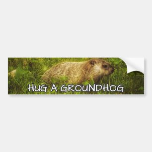 Accrochez un autocollant de pare-chocs de marmotte