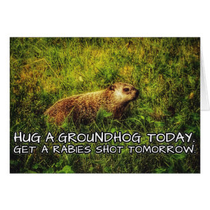 Accrochez un marmotte aujourd'hui. Faites tirer su