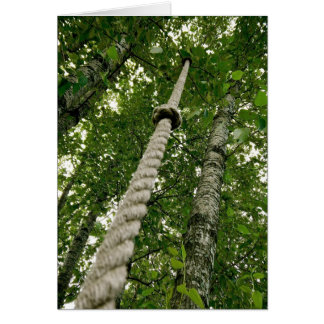 Accrochez-vous et profitez de la balade