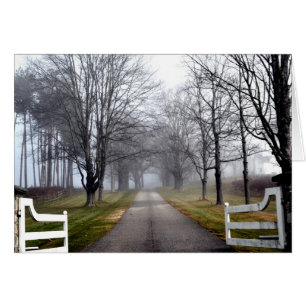 Accueil brumeux de matin