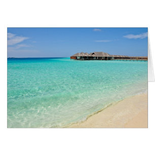 Accueil chaud. Les Maldives