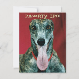 ACCUEIL INVITATION DE GREYHOUND PUP DOG PAWRTY