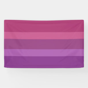 Aceflux Banner