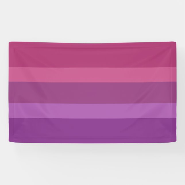 Aceflux Banner (Horizontal)