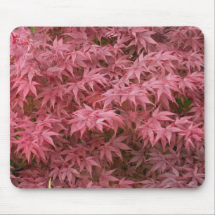 Acer palmatum Blätter Mousepad