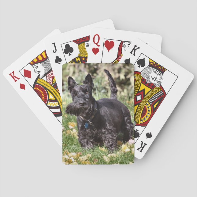 Ach Spielkarten (Rückseite)