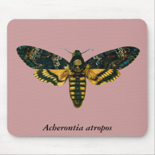 Acherontia atropos (Death's Head Hawkmoth) Mousepad